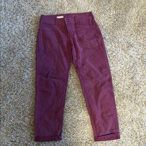 Pilcro Mauve Trousers